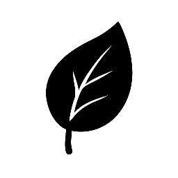 Does it work or not?